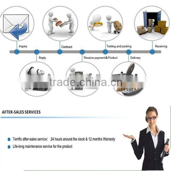 Portable Lithium Battery 48V 25AH Electric Bicycle 48V Lithium Battery with Samsung Cell