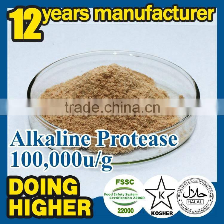 100% high quality protease for detergent factory supply alkaline protease for washing