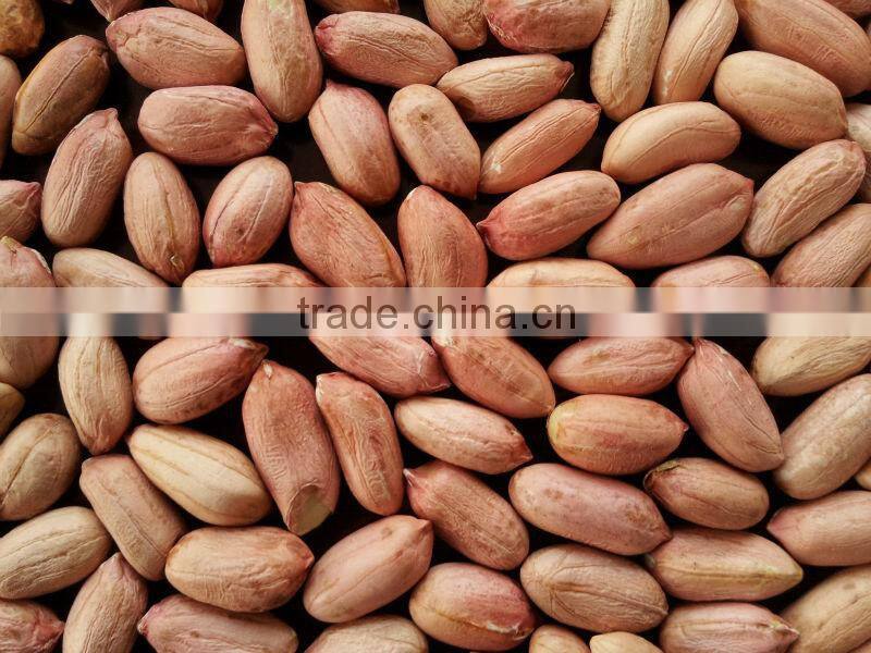 Silihong red skin peanut kernels