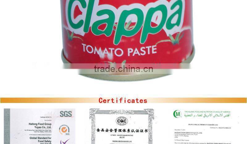 tomato paste manufacturer experienced for Nigeria market in 70gx50tins