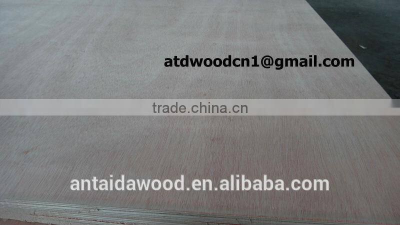 Poplar core 16mm plywood