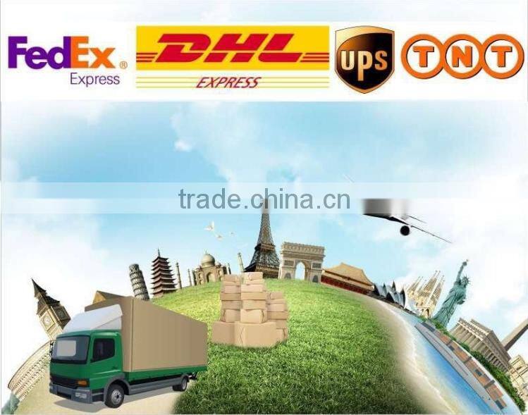 Palm Handheld Compact portable Vet Ultrasound machine /Veterinary Products/ Diagnostic Equipment for Animal-V8