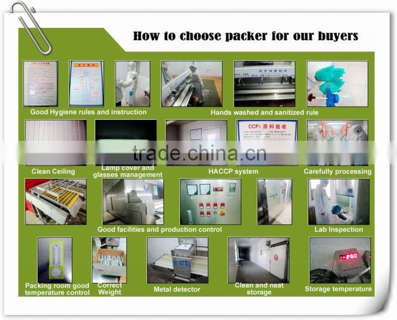 IQF Frozen sliced green onion spring onion