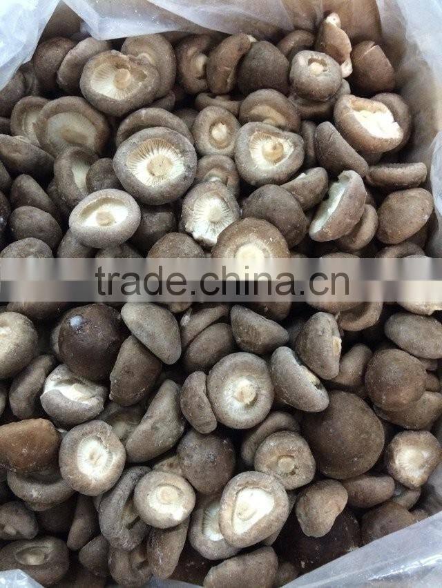IQF shiitake mushroom
