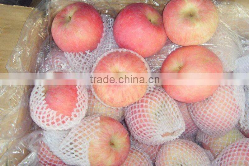 Fuji Apple/Fresh Apples/70MM, 75MM, 80MM,85MM UP