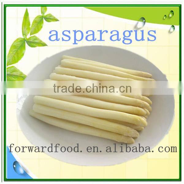 High Quality Canned White Asparagus Tip