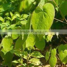 BNP Provides Penis Herbal Medicine Horny Goat weed Extract Powder