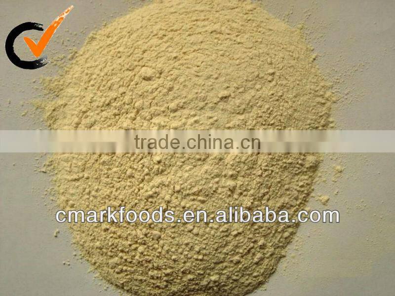 AD Yellow Onion Powder, New Crops, powdered