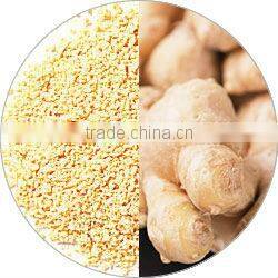 GAP Certified Manufacture Fresh Ginger in Season