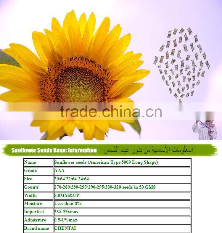 2014 New Arrival Good Quality Black Sunflower Seed