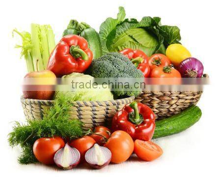 2014 new design Stainless steel fruit and vegetable dehydrator machine