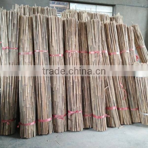 Natural Tonkin Bamboo Cane