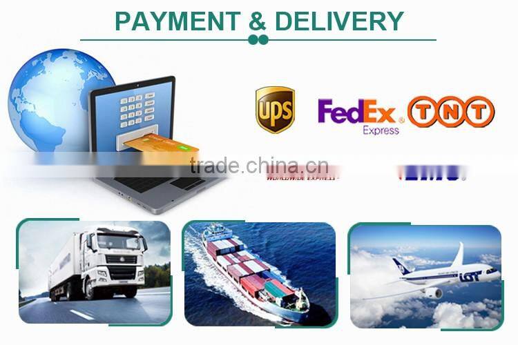 Plastic Coated Welded Holland Wire Mesh Fence