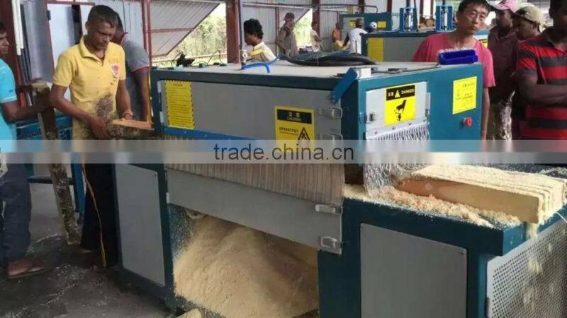 Log Multi-Blade Rip Saw and Board Edger