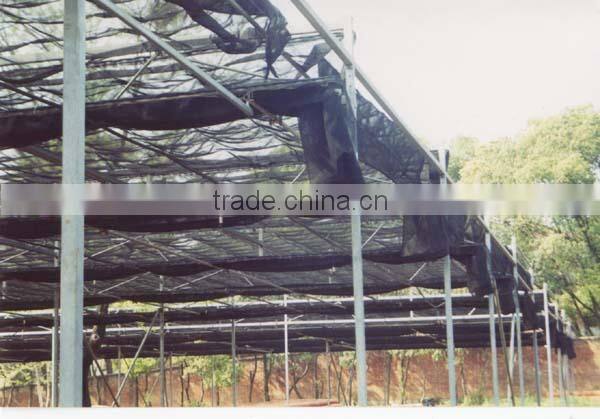 Shade net agricultural greenhouse