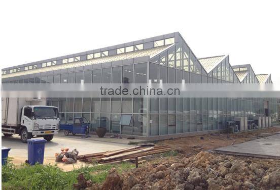 Hot Sale the Cheapest and Easily Assembled Agricultural Glass Greenhouse for sale