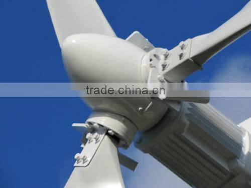 10kw Grid-tie and Off-grid Wind Turbine