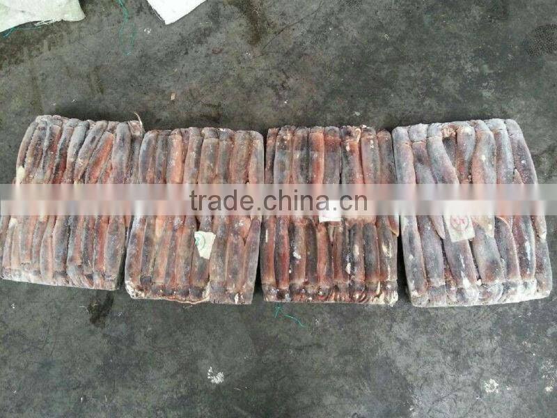 block of illex squid