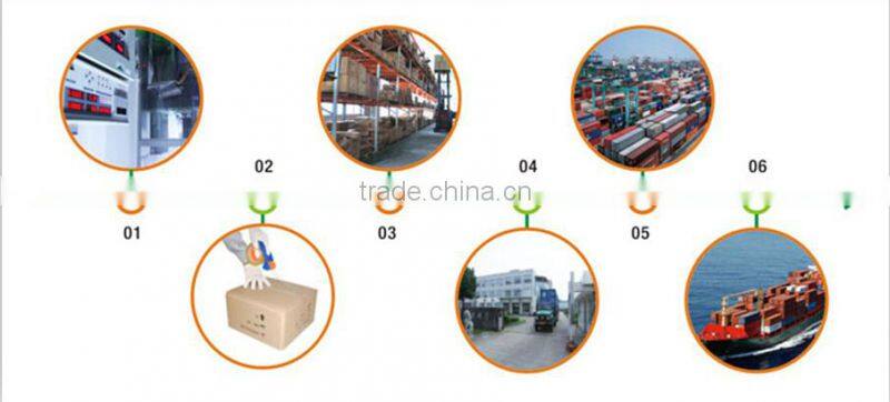 Wholesale new arrival gs approved 100% carbon nordic walking stick