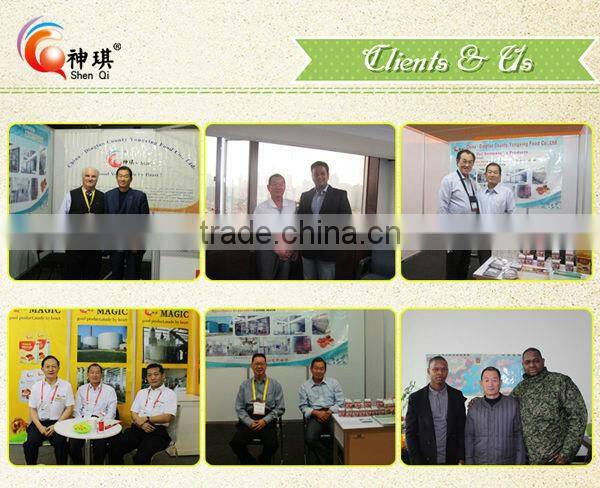 dry yeast Made in China with high quality HALAL CERTIFICATE