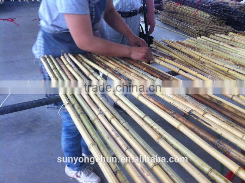 Natural Football Field Fence 3.5' 12-14mm bamboo cane for several sizes