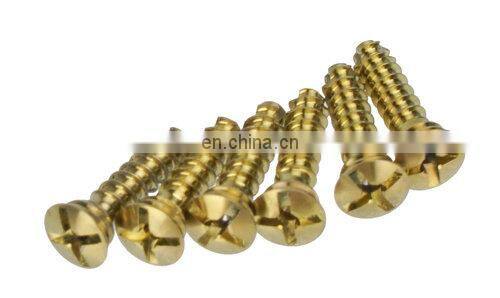 High Quality Bone Surgery Instruments Titanium 2.0mm Screws for Maxillofacial Locking Plates Orthopedic Surgical Implants