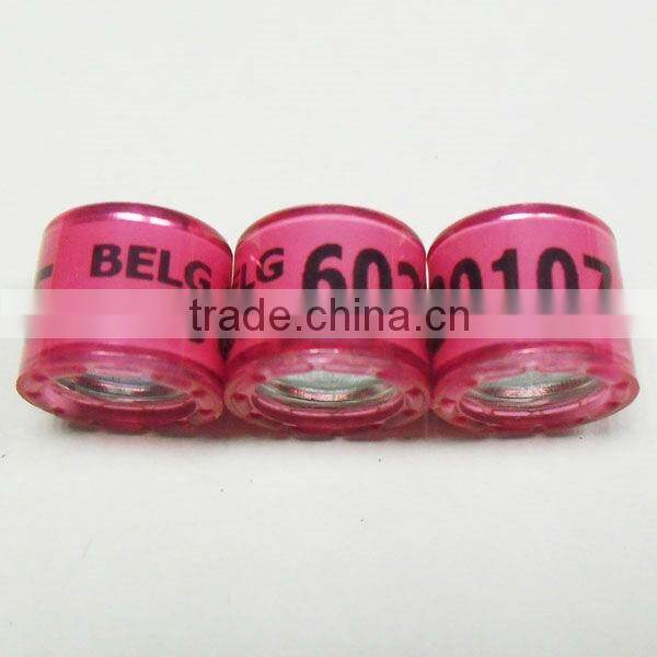 Address Ring for Pigeon