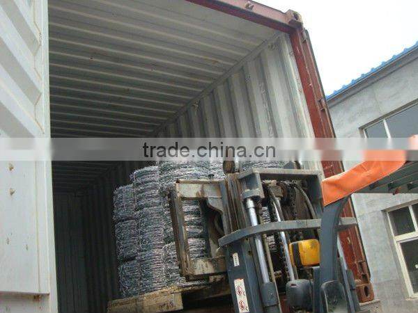 hot dip/ Electro galvanized barbed wire (manufacturer)