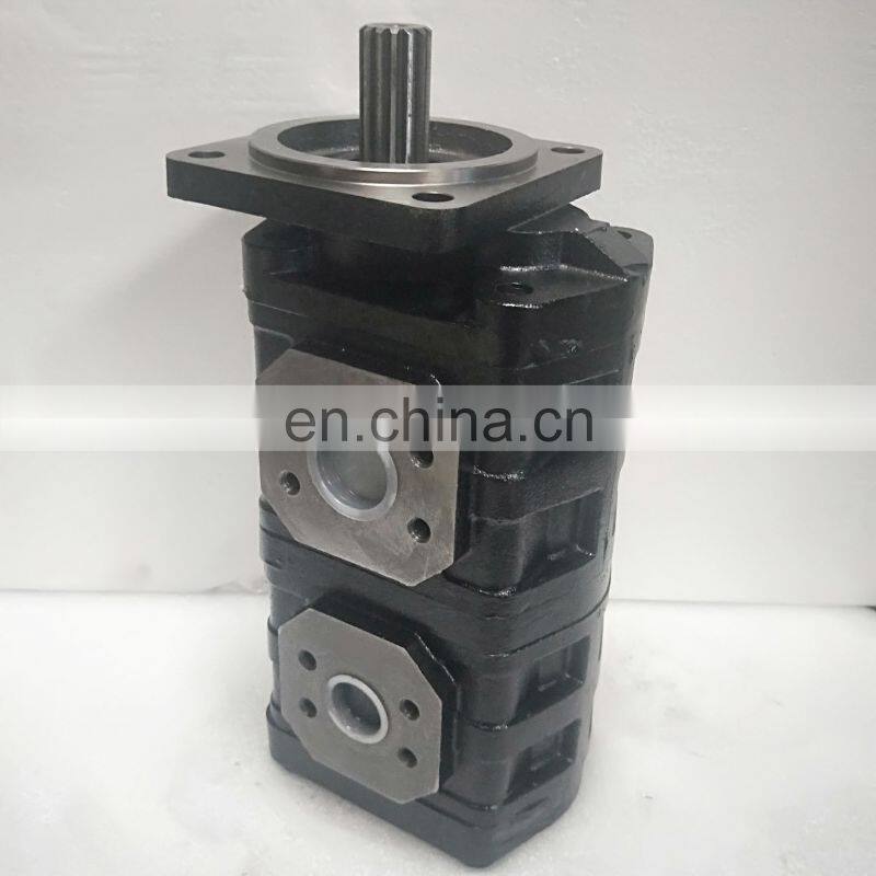 Custom gear pump P25 P25X P25X178 P25X178B1R series plunger high pressure pump P25X178B1R717-7BRS12-1