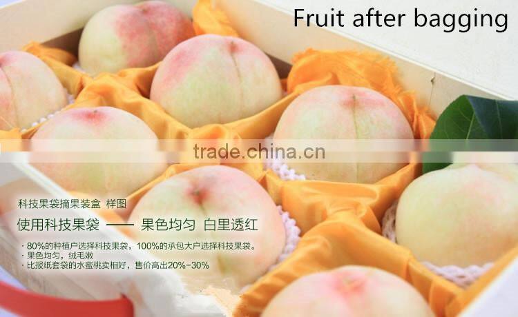 Fruit cover peach bag/kiwi fruit bag/mango bag