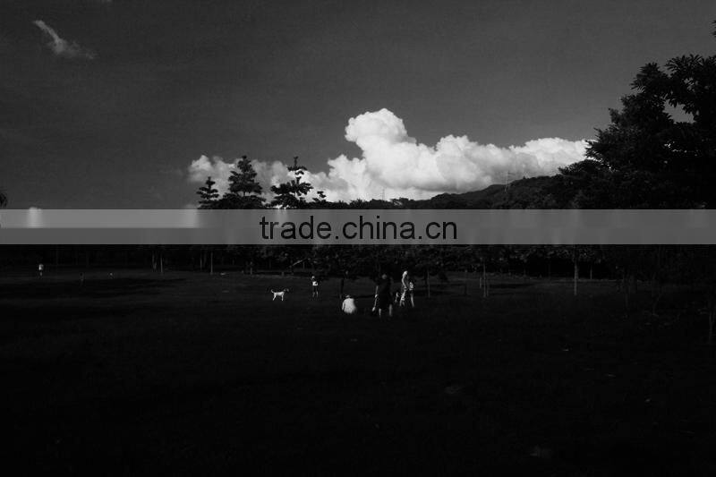 Massa Green filter 67mm High quality colorful filter