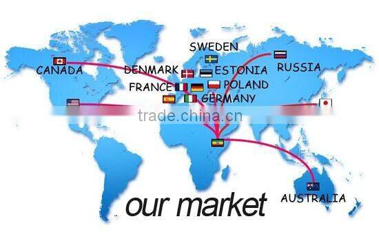 boys fashion dress hand genuine goat skin leather buttons gloves