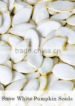 Edible Grade AA pumpkin seeds kernels