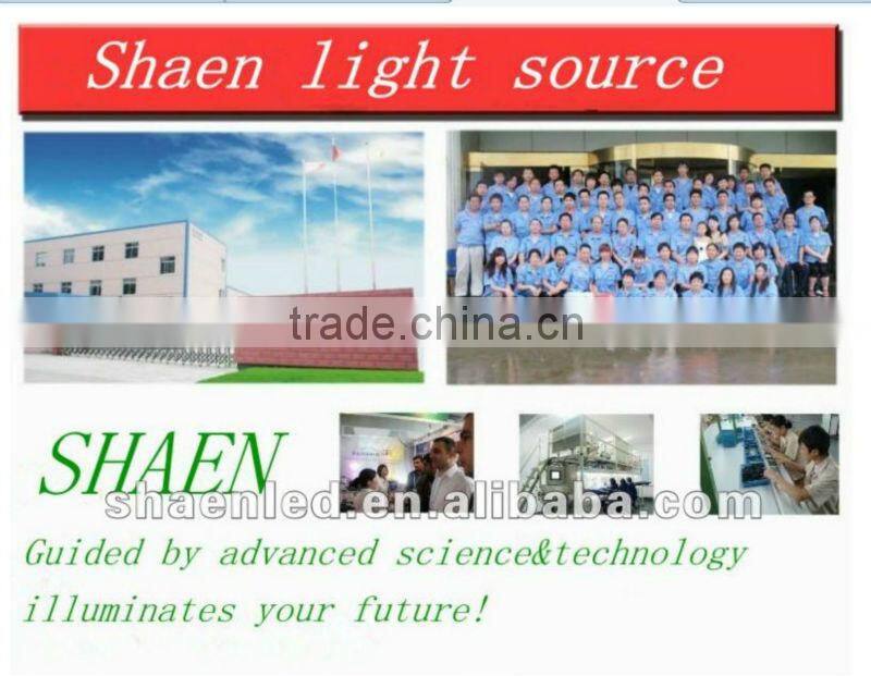 New Car Accessories 5050 led strip lighting wearable