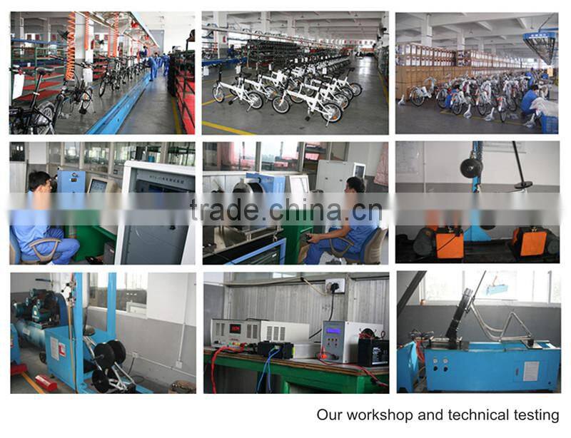 moped new cheap folding electric bike with 36v 10ah lithium battery XY-EB003F