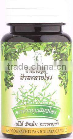 Natural Dried Alexandria Senna leaves