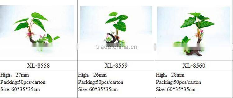 aqua plants water plants for sale