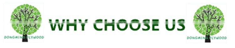 HOT SALE ! burckella veneer keruing veneer for door skin good price