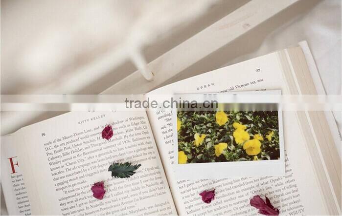 FujiFilm Instax Wide Film ( 20 sheets )