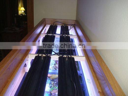 DSunY good user experience coral and reef 72" marine led aquariums lightings for coral and reef