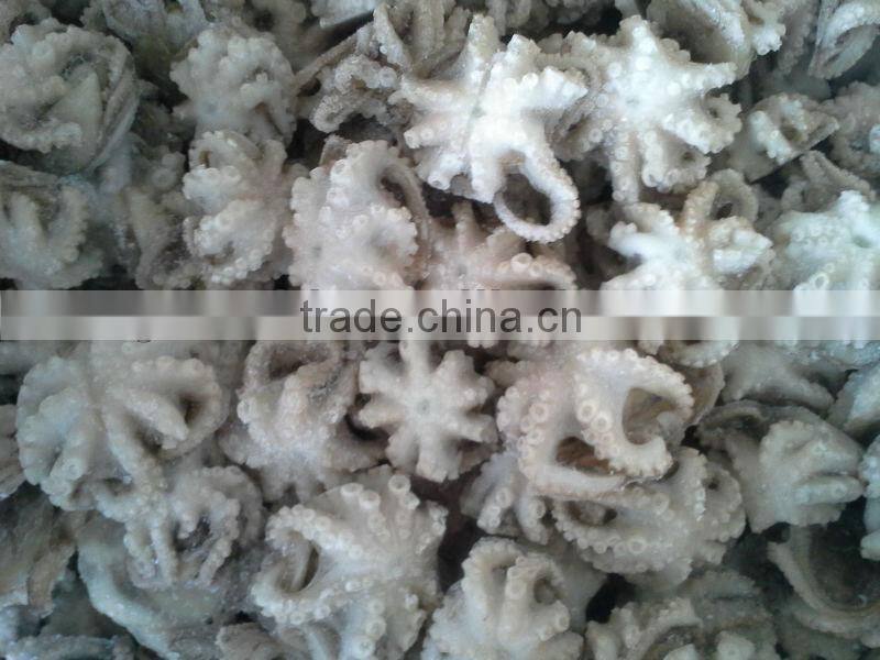 Frozen baby octopus 20-60g