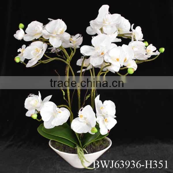 Artificial coated Phalaenopsis Orchids bonsai