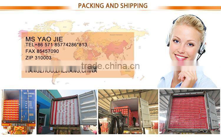 oem brand canned tin packing tomato fresh ketchup tomato paste sauce