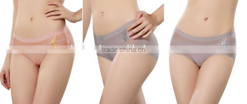 Outdoor Garment with Hot Melt Adhesive Film