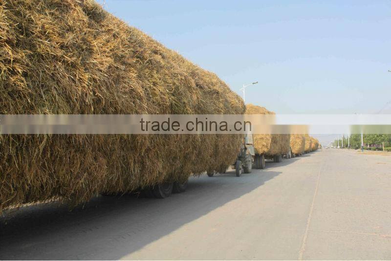 Tranlin Water-soluble fulvic acid fertilizer