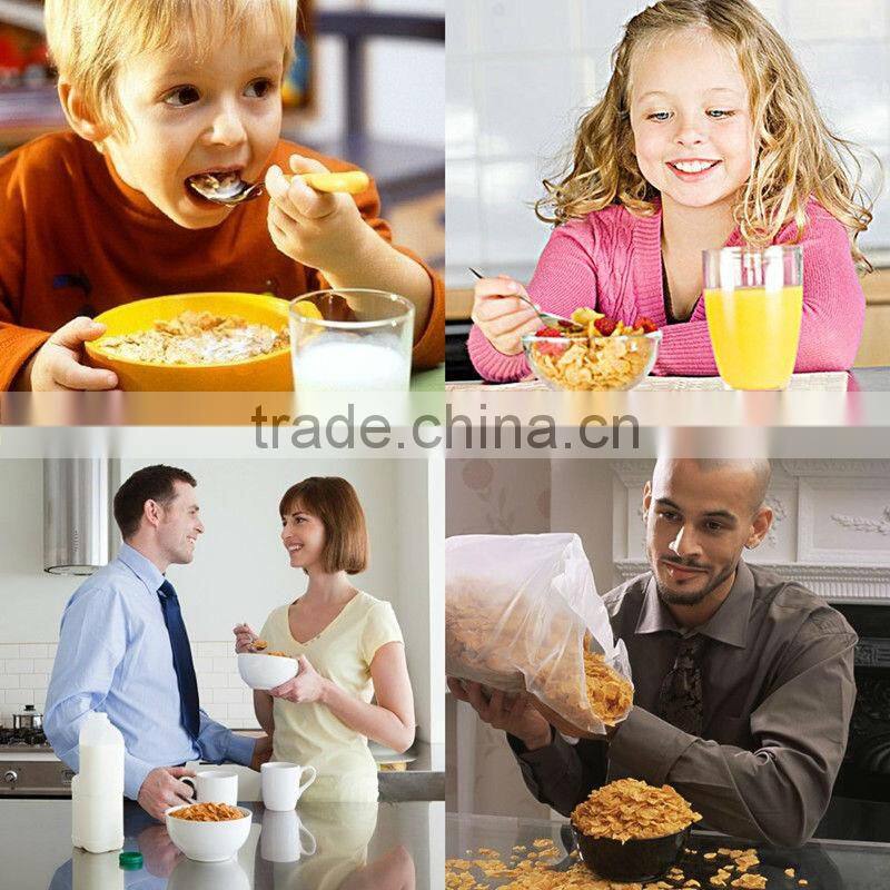 Puffed Cereals Machine/Extruder/Plant