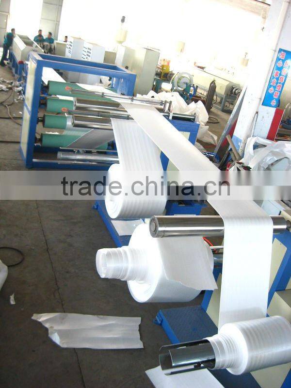 Top PS Foam Sheet Making Machinery(FS-FPP120/150)
