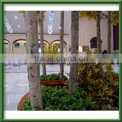 Artificial Silver Brich Tree for mall