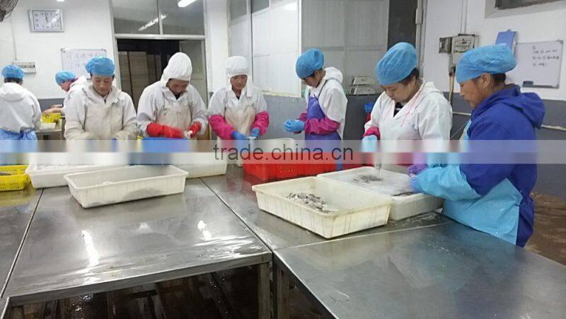 Frozen Boiled Baby Octopus Flower Galicia Seafood