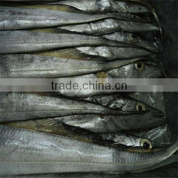 fresh best frozen fish